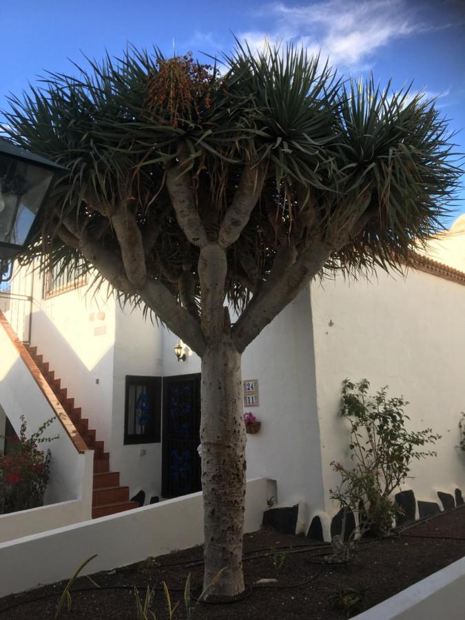 Tenerife 코스타델실렌시오 외부 사진